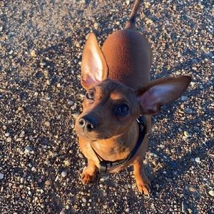 Meet your Posher, Zach